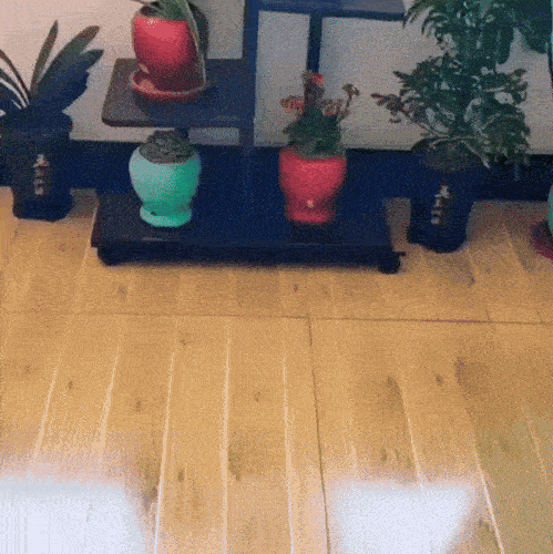 FLORAMAT indendørs og udendørs