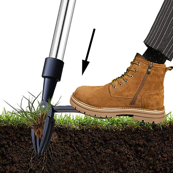 ROOTNIK-3831127559648