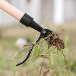 ROOTNIK-3831127559648