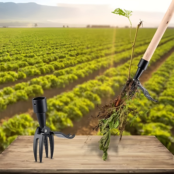 ROOTNIK-3831127559648