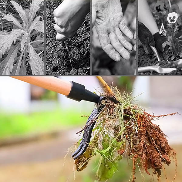 ROOTNIK-3831127559648